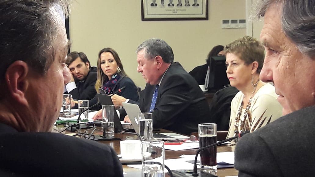 Rocío Lobos, presidenta Sintachs, en mesa y comisión de trabajo y seguridad social.